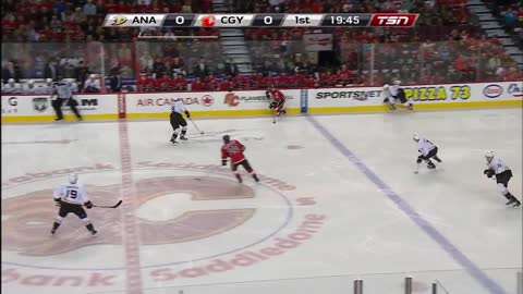 NHL: Anaheim vs Calgary 3/26/2014